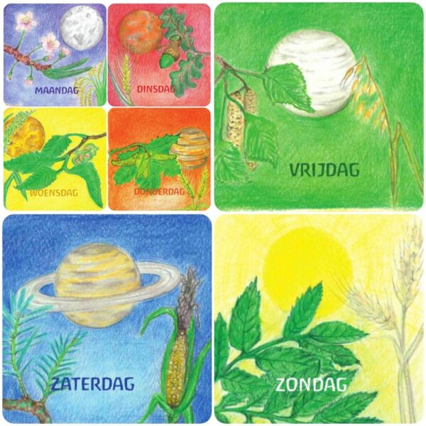 Dagen, maanden en jaarfeest set